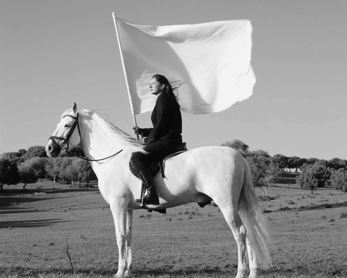Marina Abramovíc —
